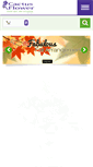 Mobile Screenshot of cactusflower.com